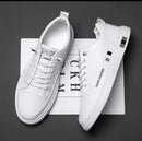 gid://shopify/MediaImage/25707778211910